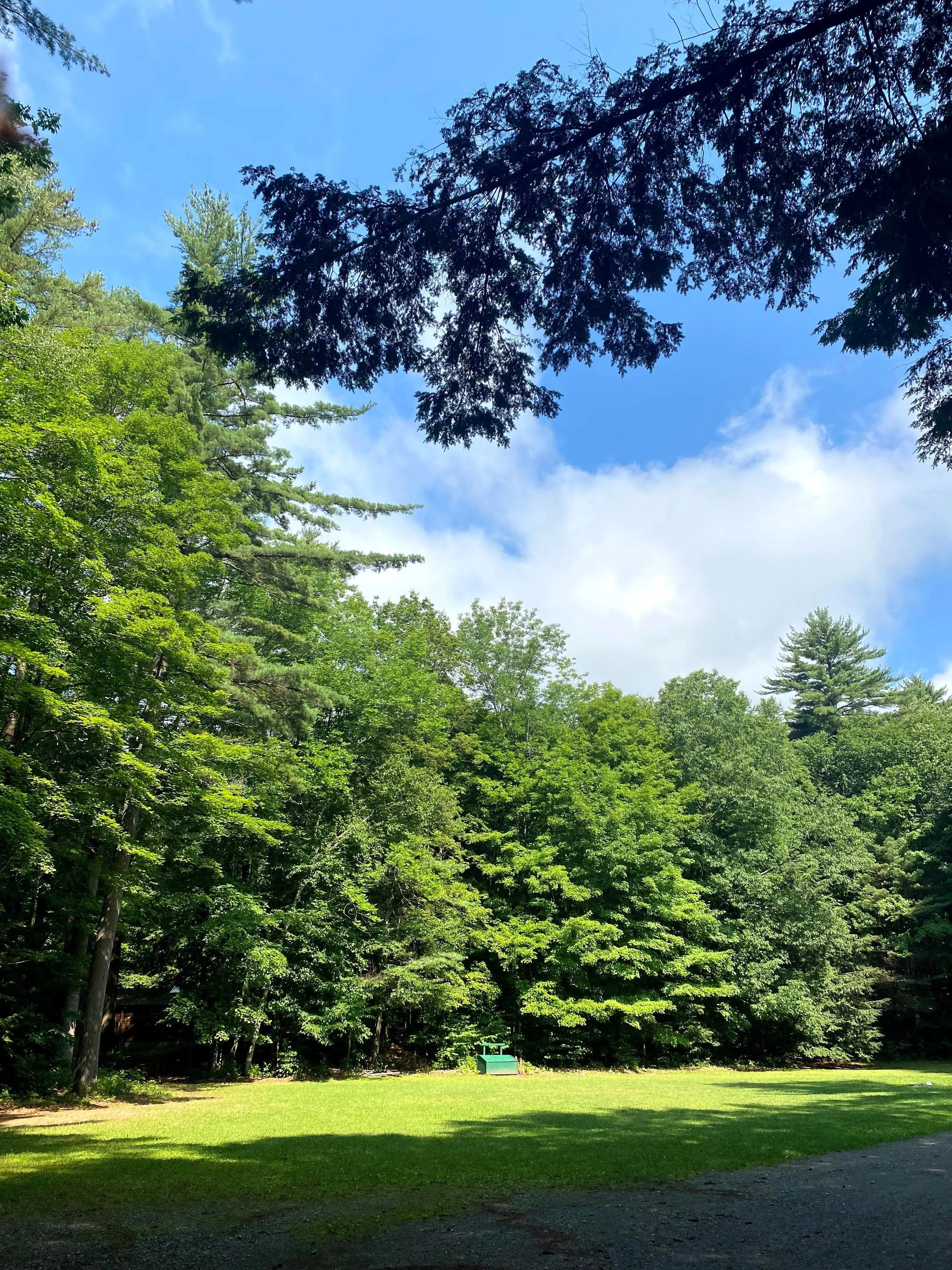 The Carpark -parking and main field space for camper activities (Copy)