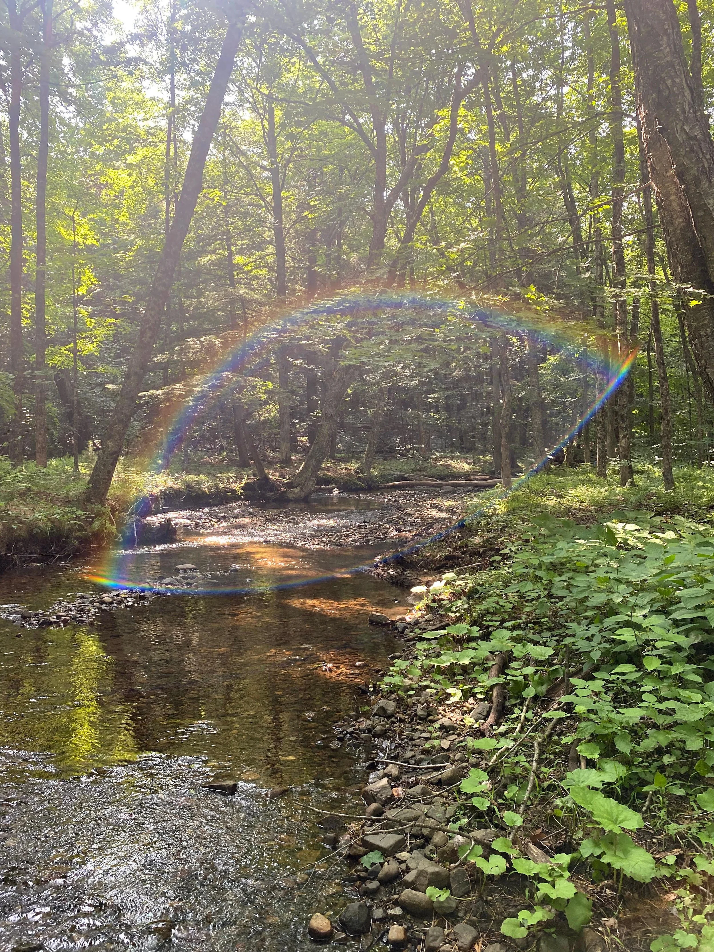 One of the creeks that runs through the property (Copy)