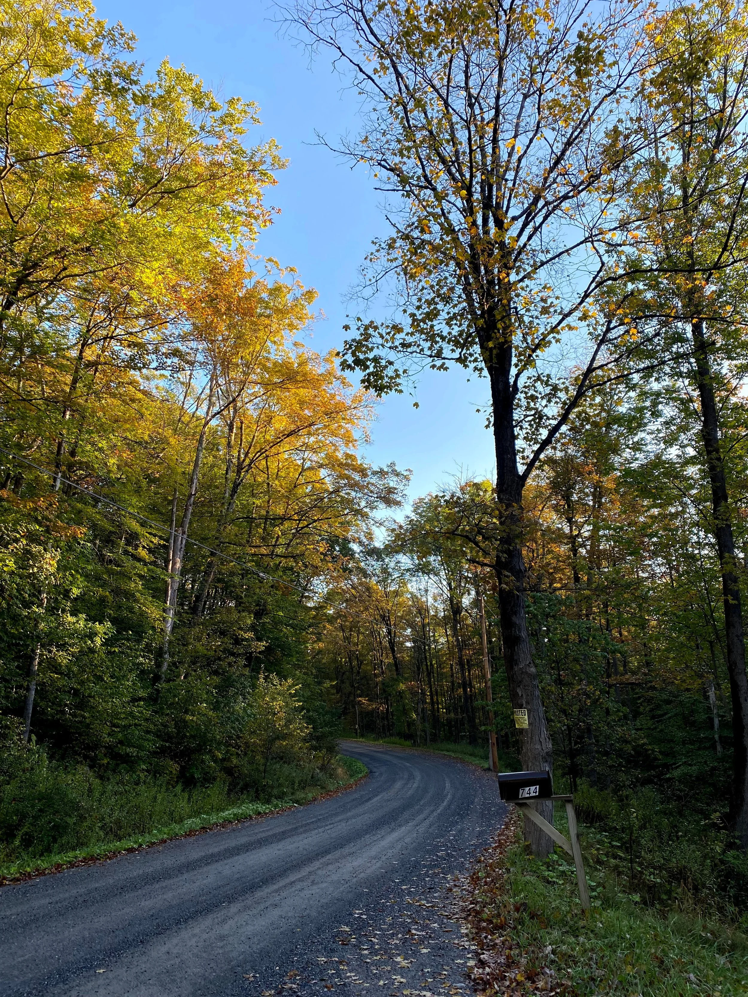 Main entrance in the fall (Copy)