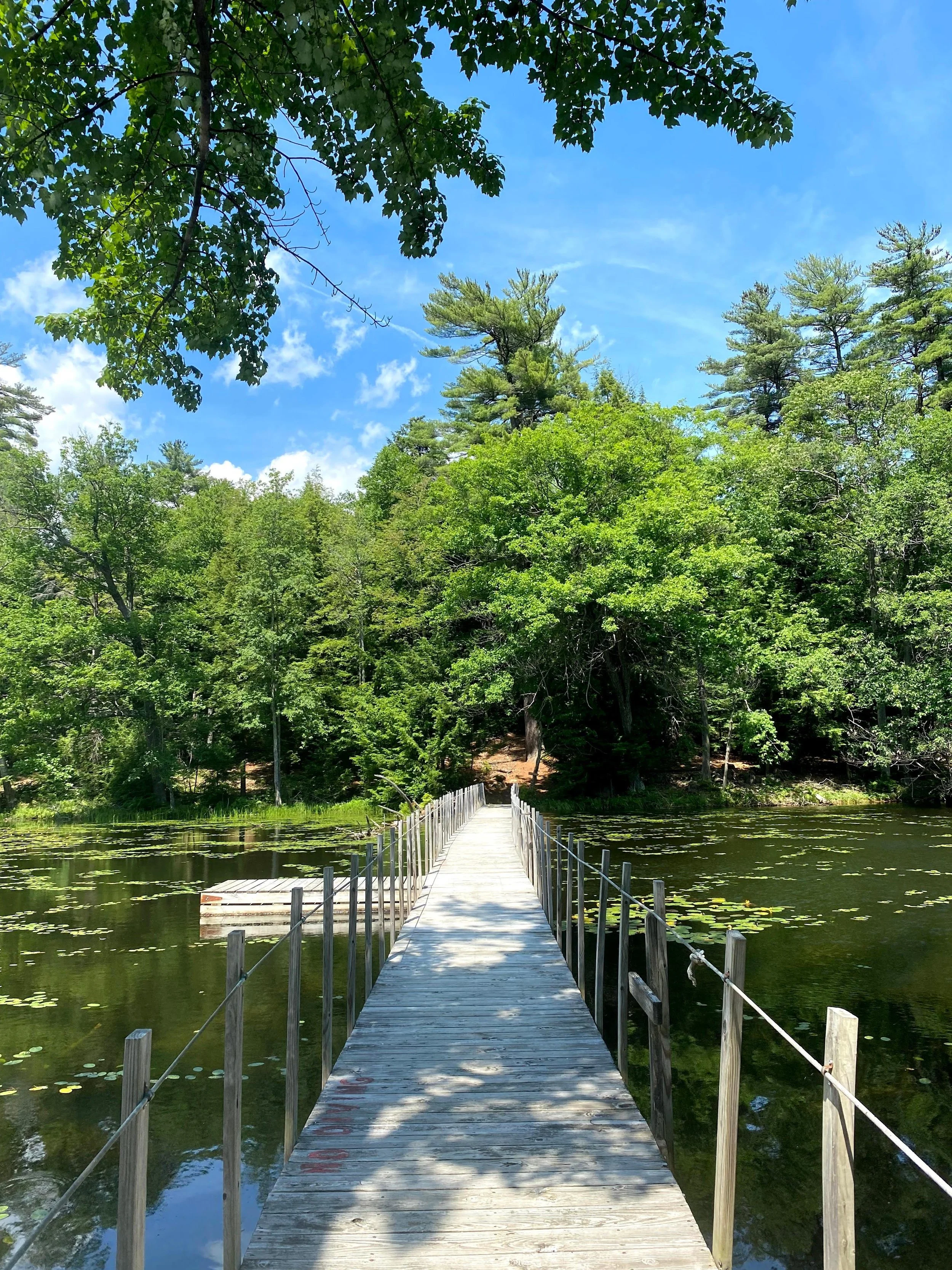 Floating Bridge (Copy)