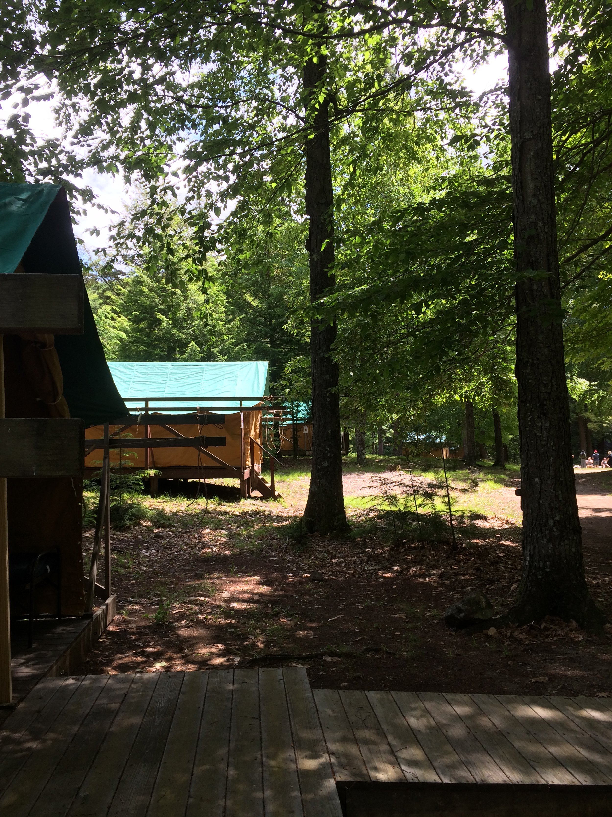 View of part of Pine Point Unit (Copy)