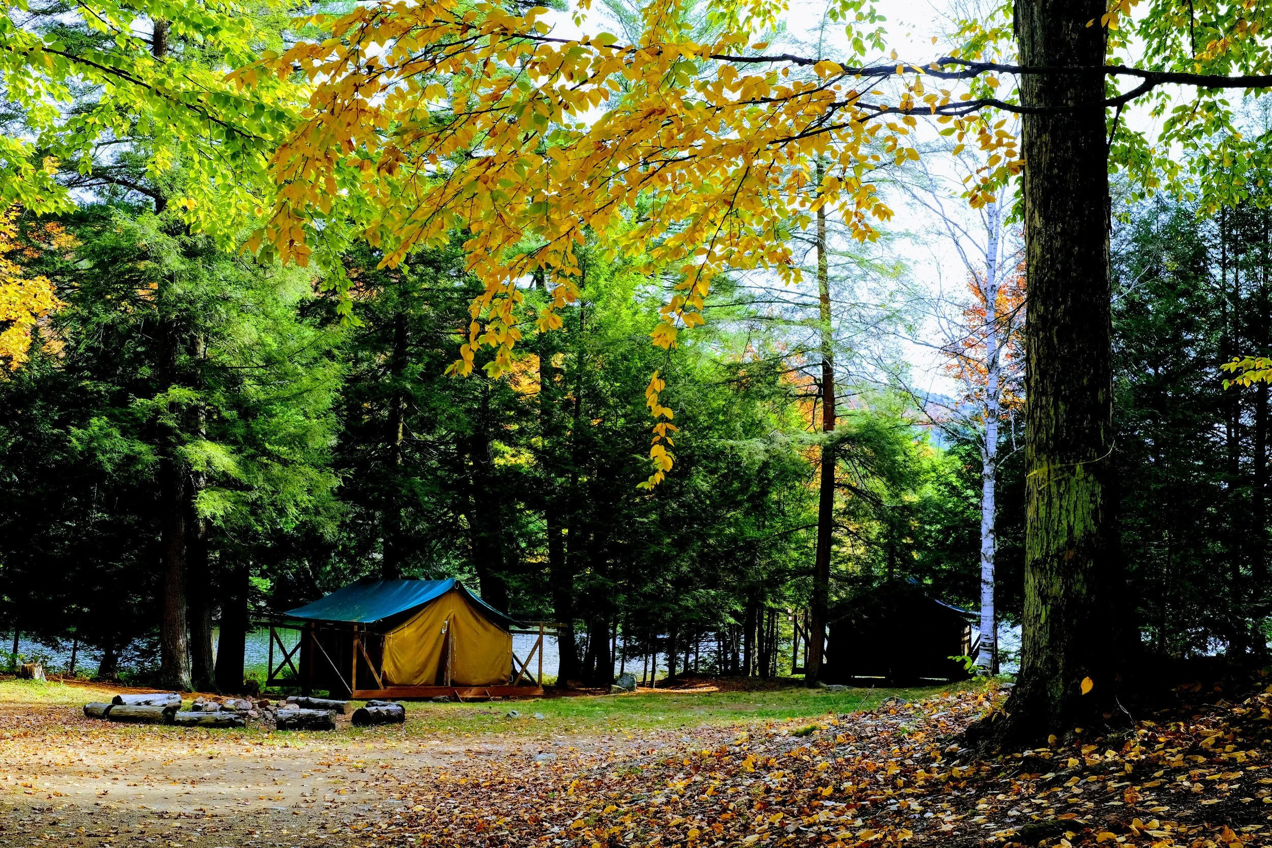 View of part of Pine Point Unit (Copy)