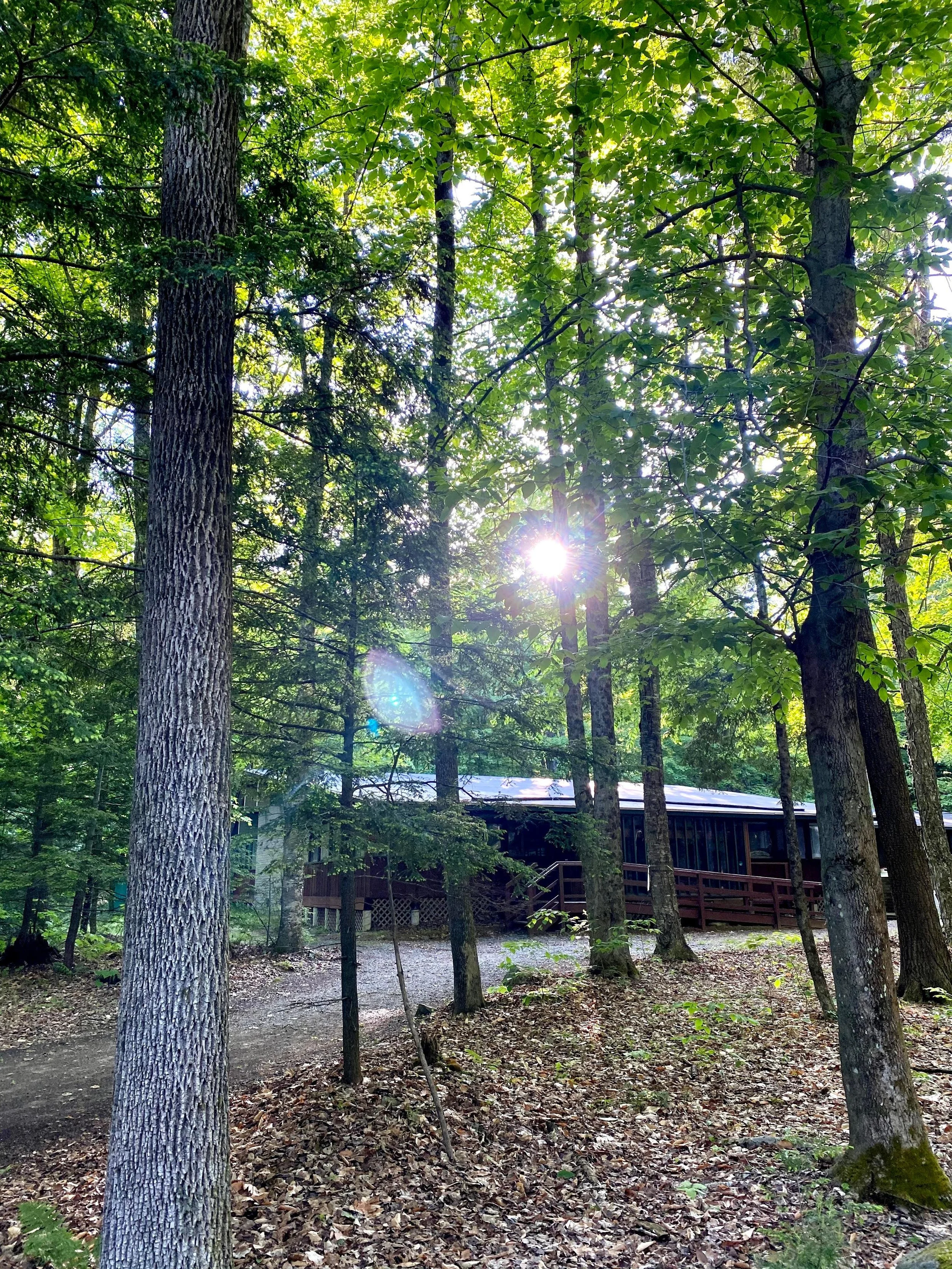 Sun over the Dining Hall (Copy)