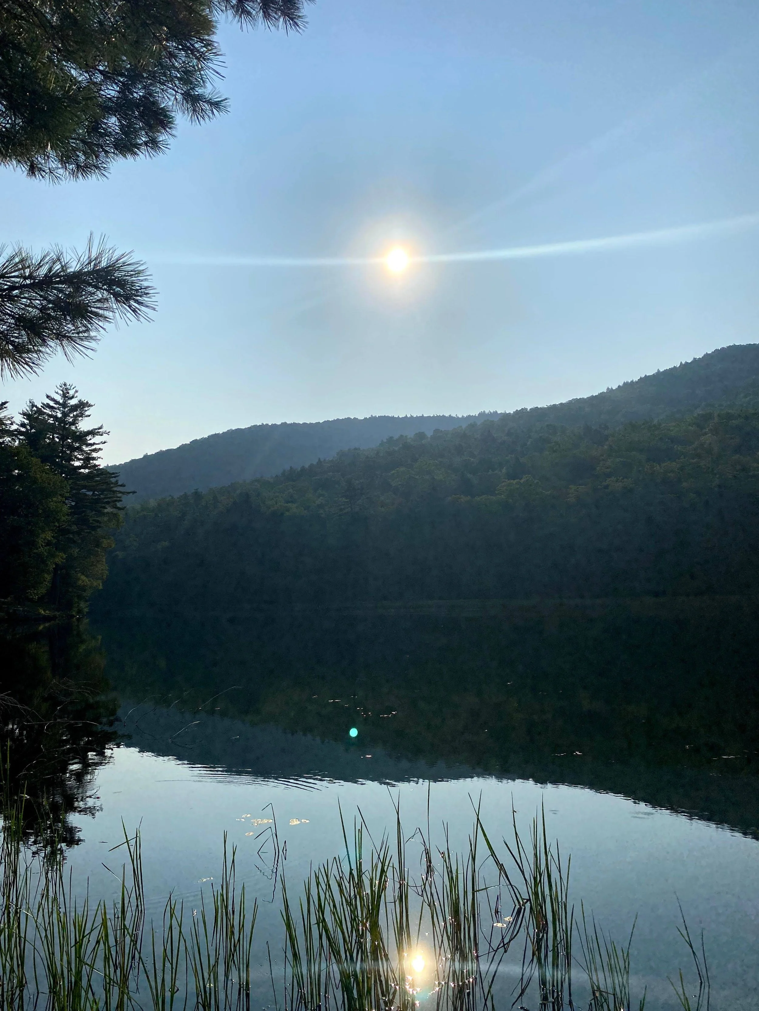 View of sun rising from Sherwood Forest Unit (Copy)