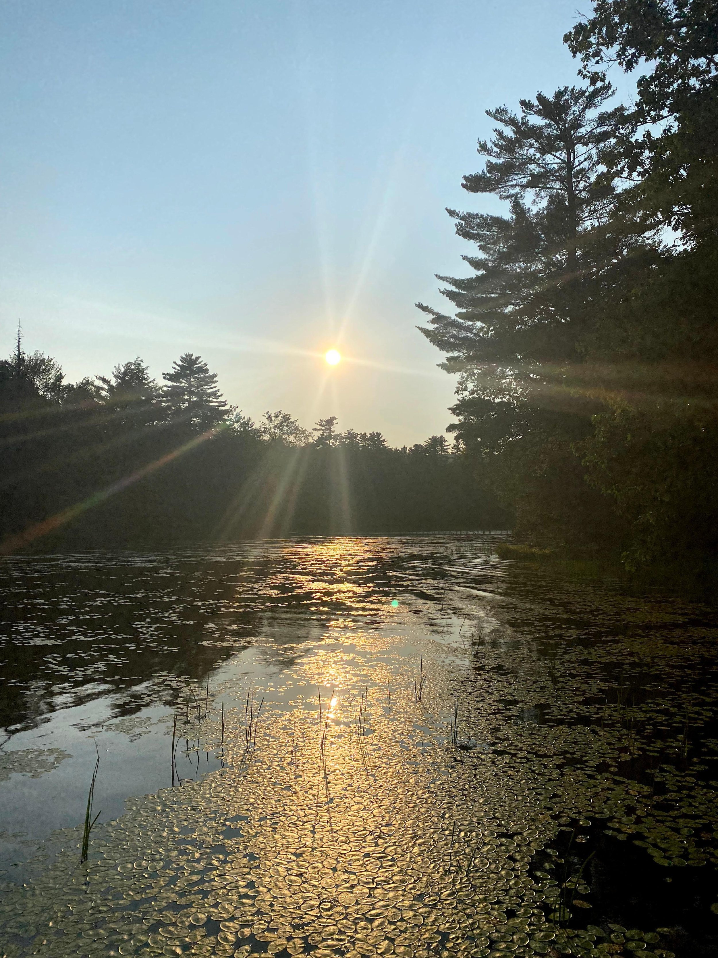 View of the sun setting from the waterfront (Copy)