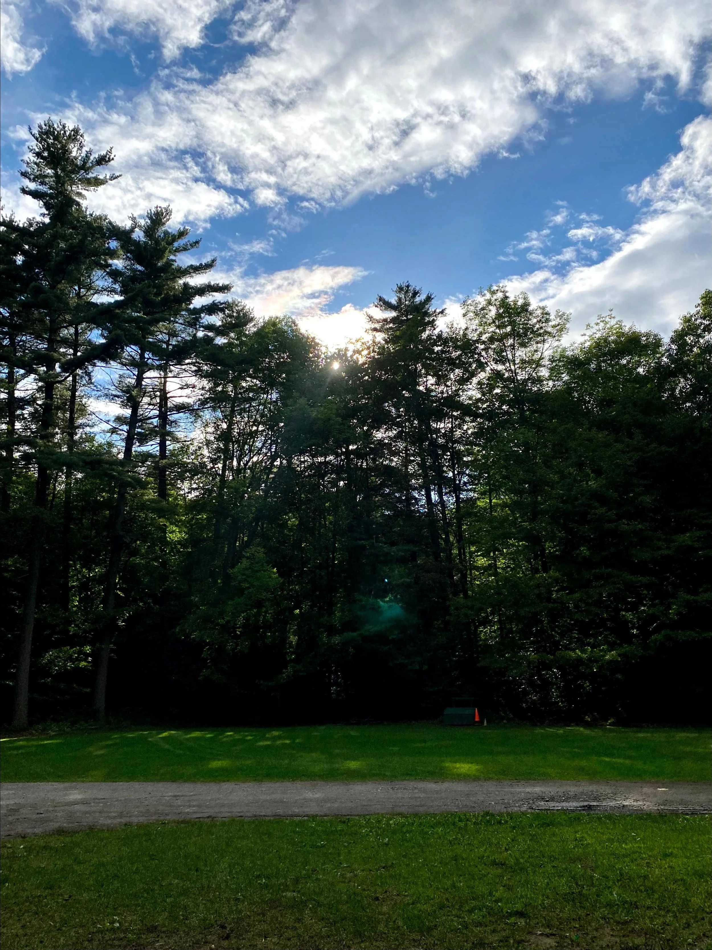 View of Carpark from Hojo's (Copy)