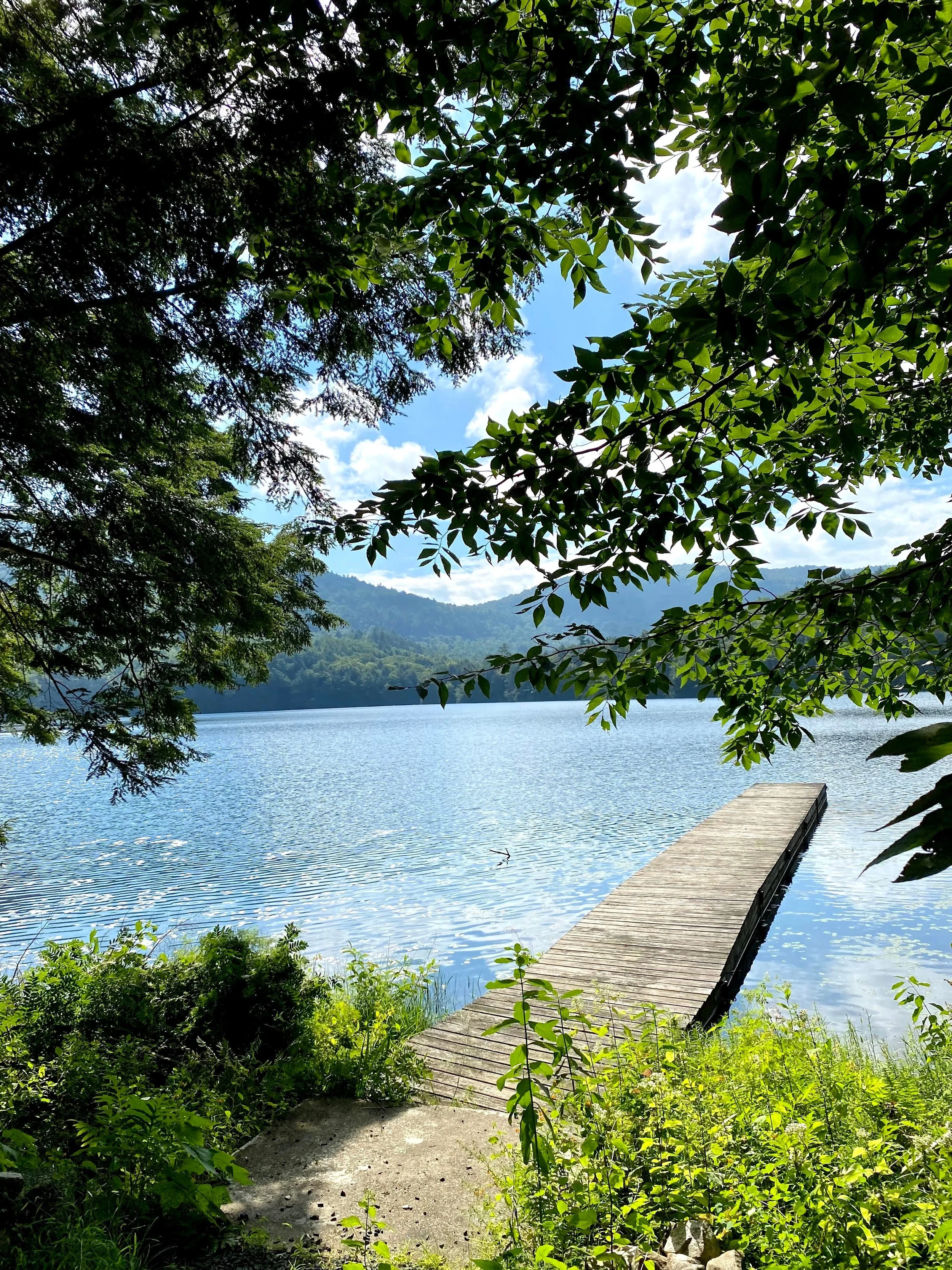 Dock at Tall Timbers (Copy)