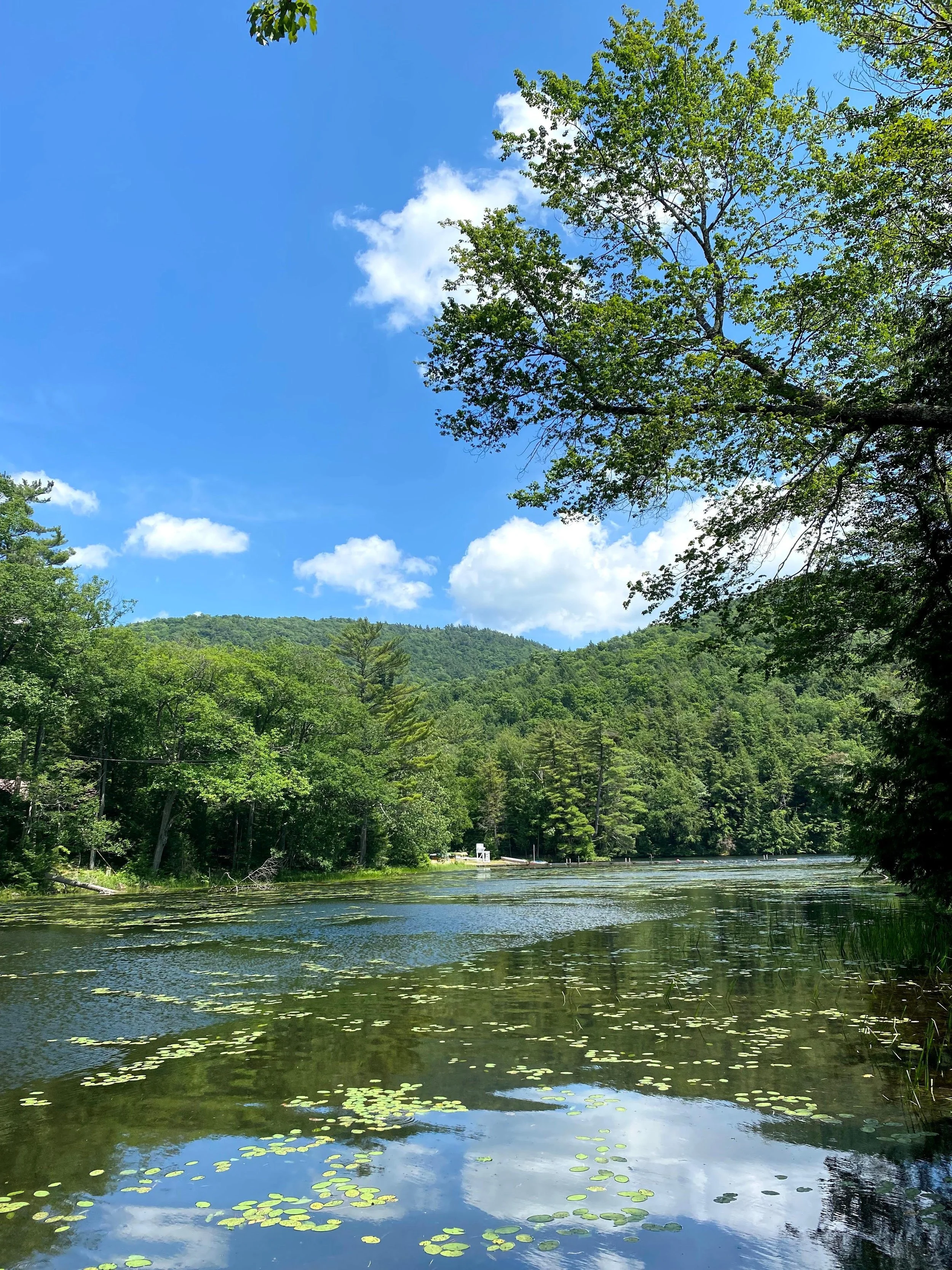 View of the Waterfront from the Floating Bridge (Copy)