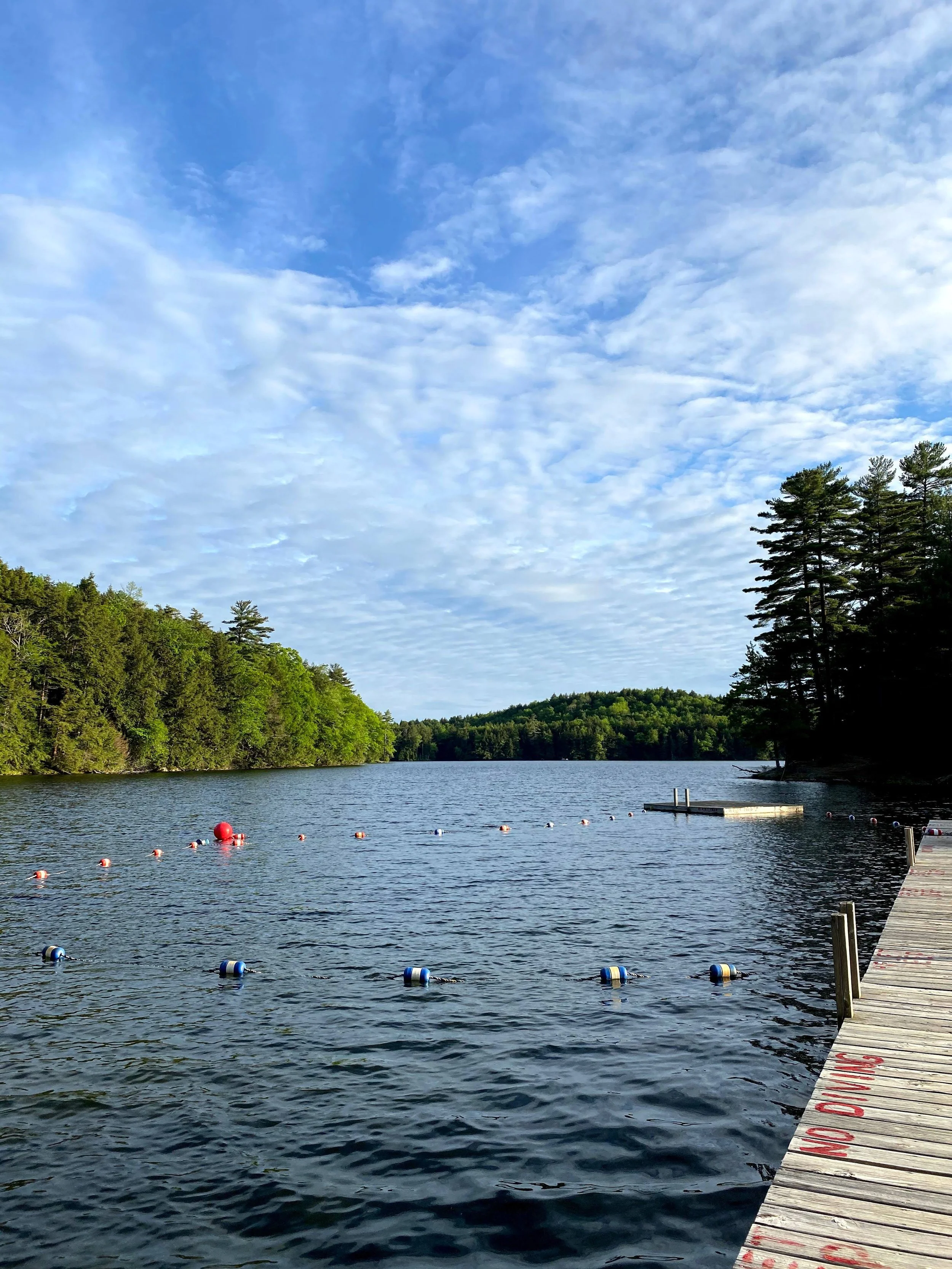 Waterfront Swim Area (Copy)