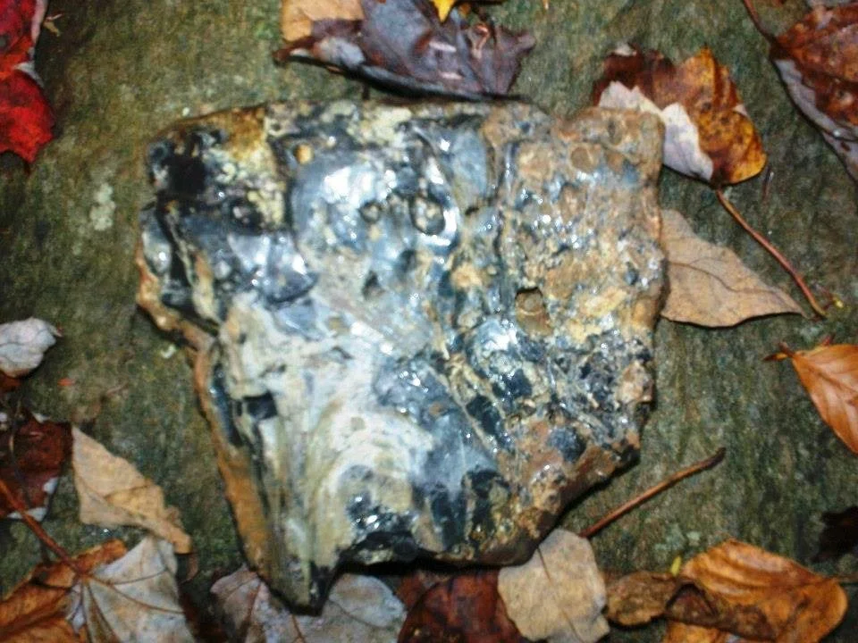 05.jpg