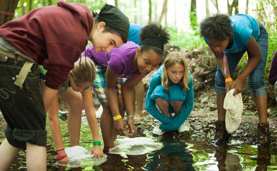 campers standing in a forest stream exploring the water and nature
