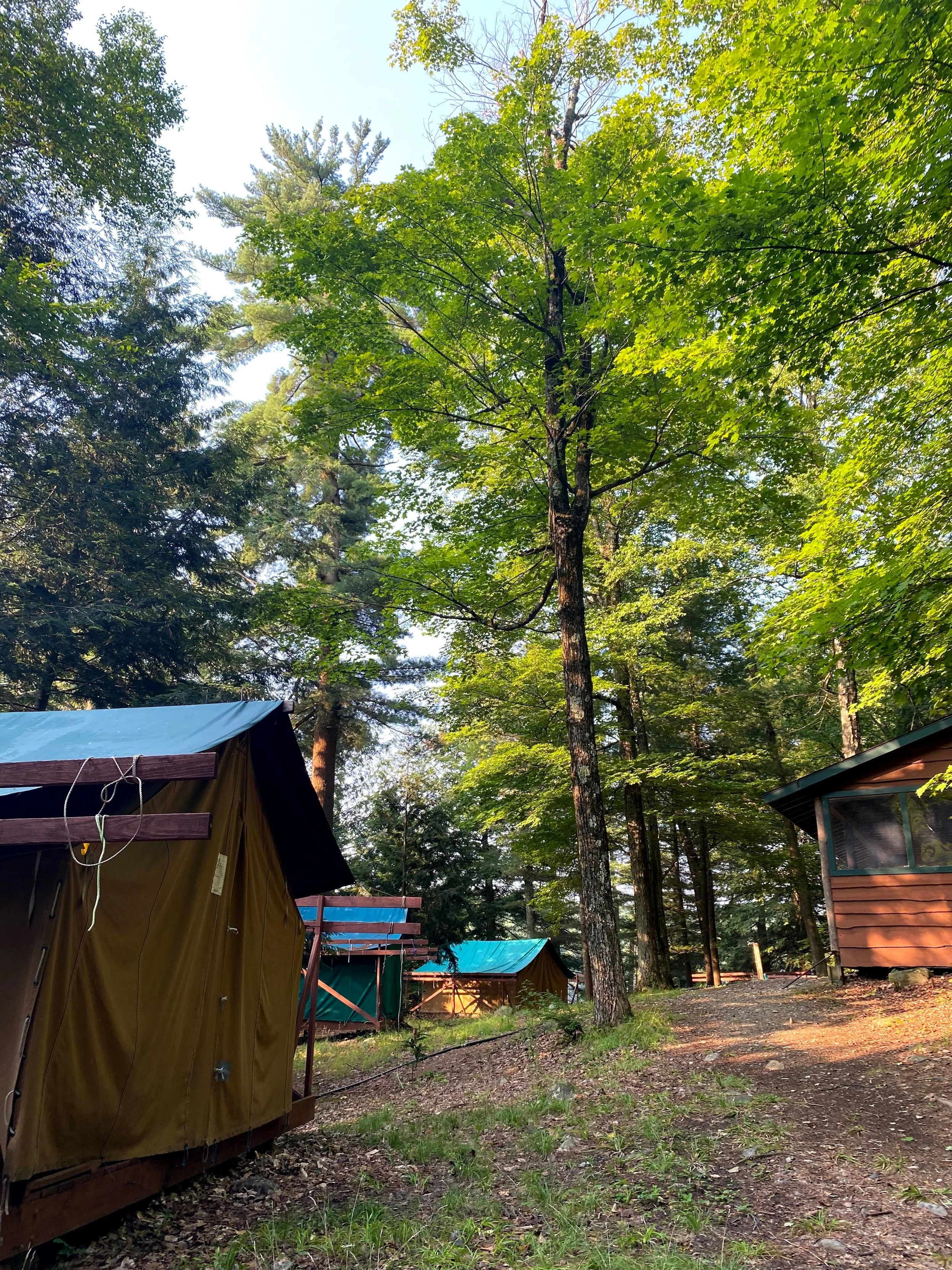 tents and cabins in the woods