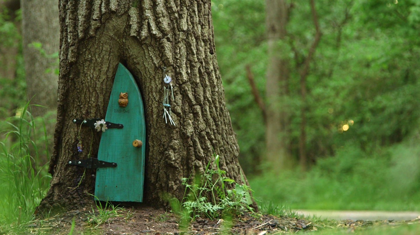 Little Owl Door