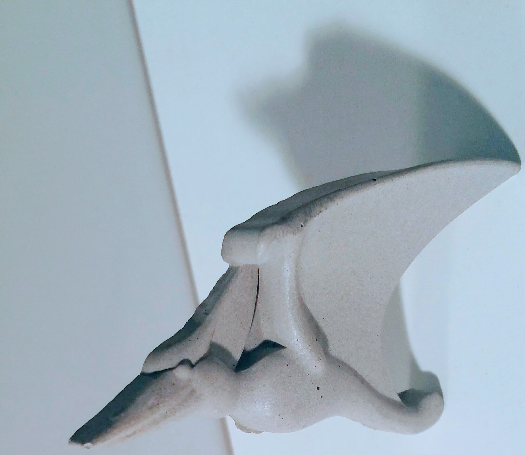 20170331_155436-1.jpg