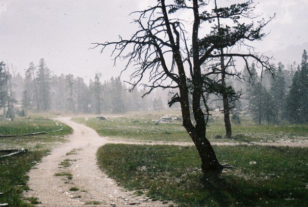 path.jpg