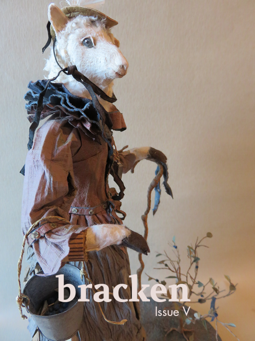 Bracken_IssueV_cover.png