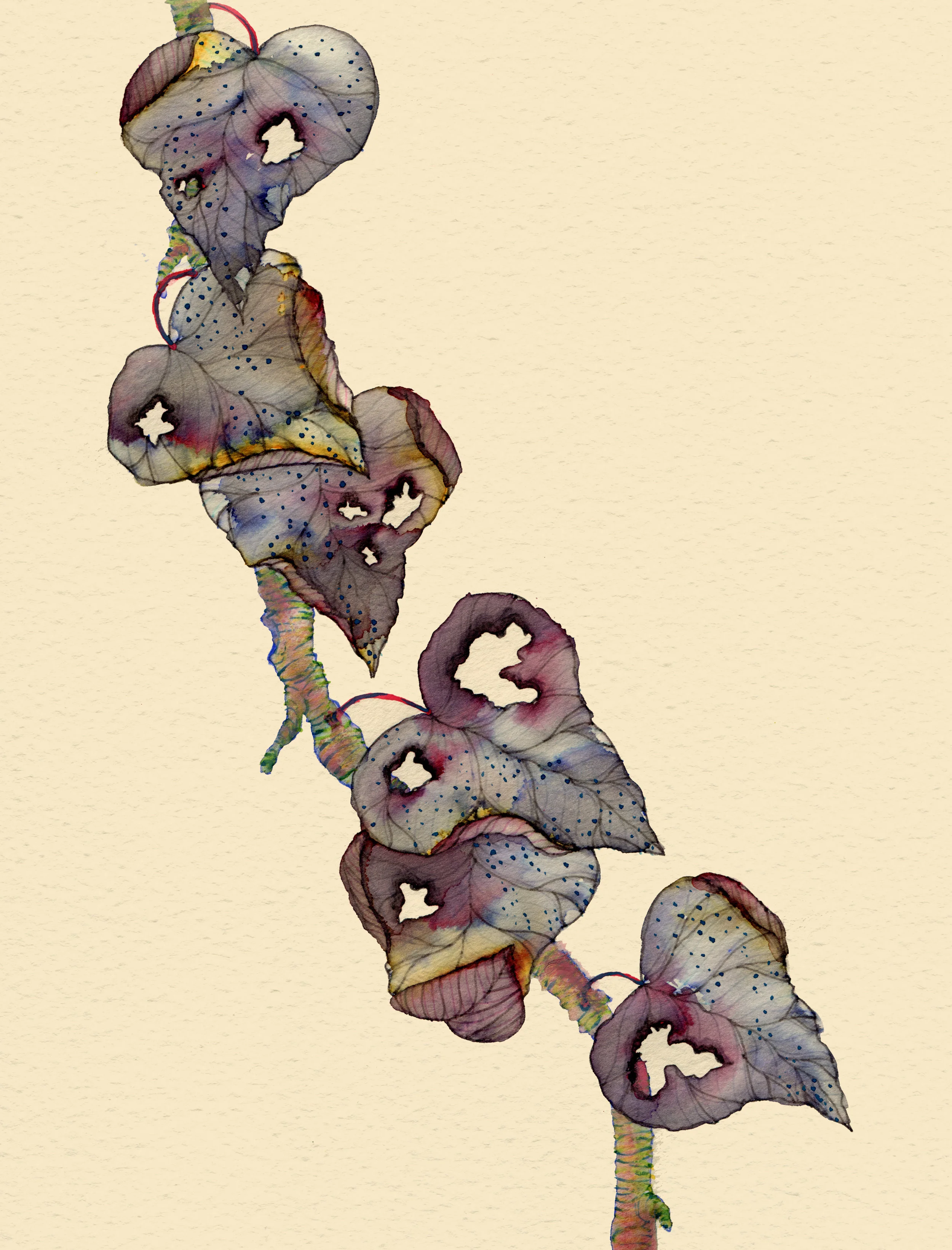 leafstudy.jpg