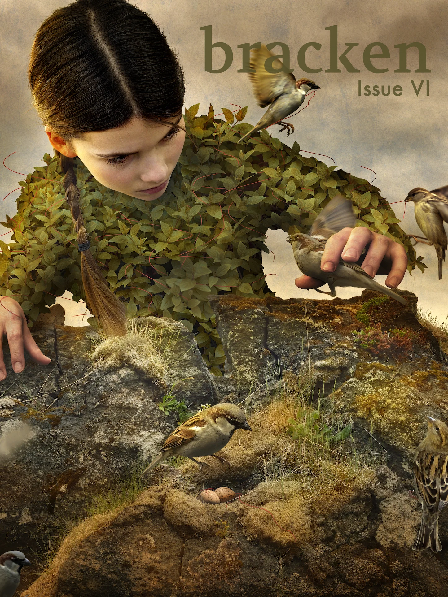 Issue VI Cover_Option 1_smaller.jpg