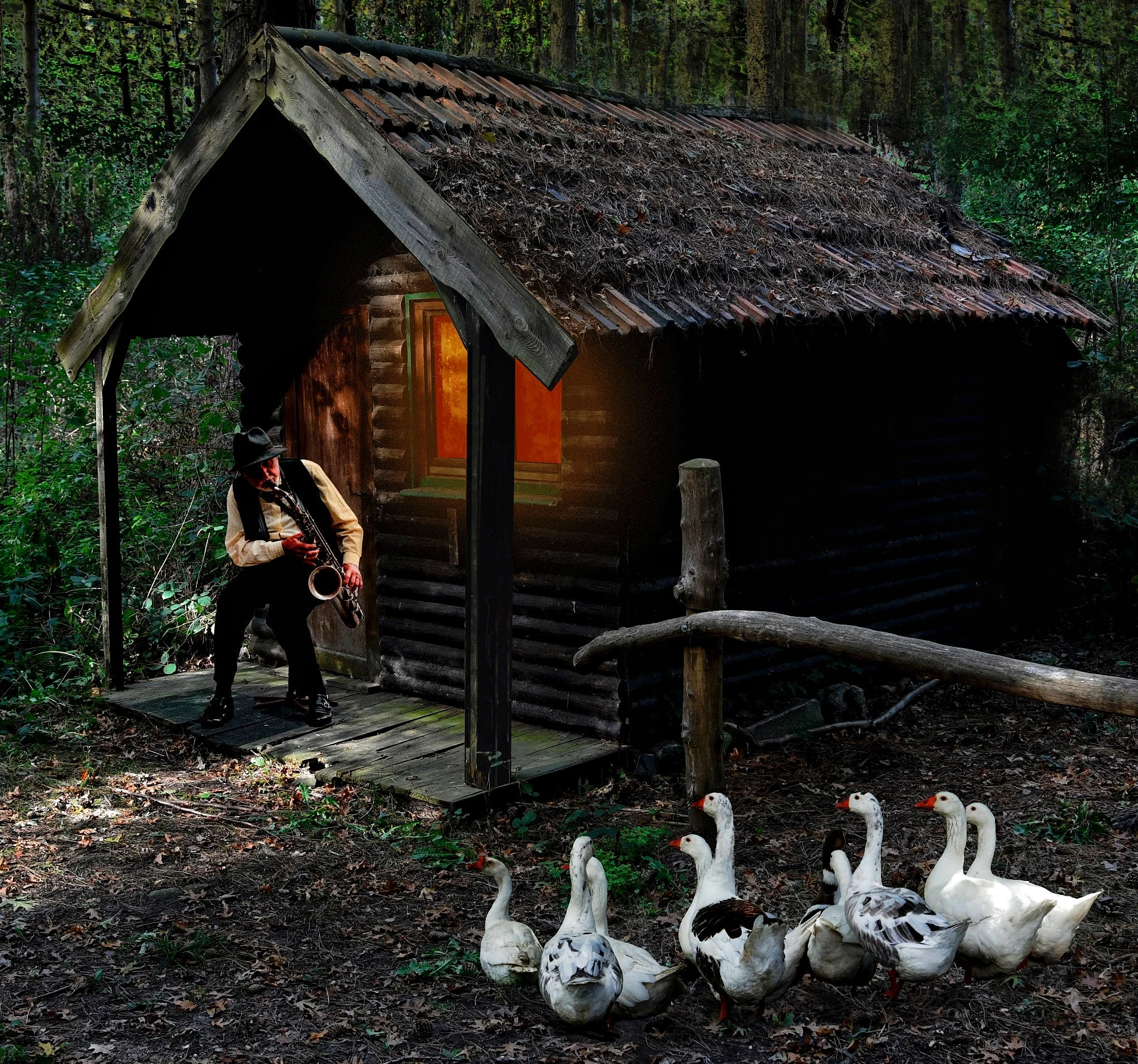 animals-cabin-countryside-1535100_edited.jpeg