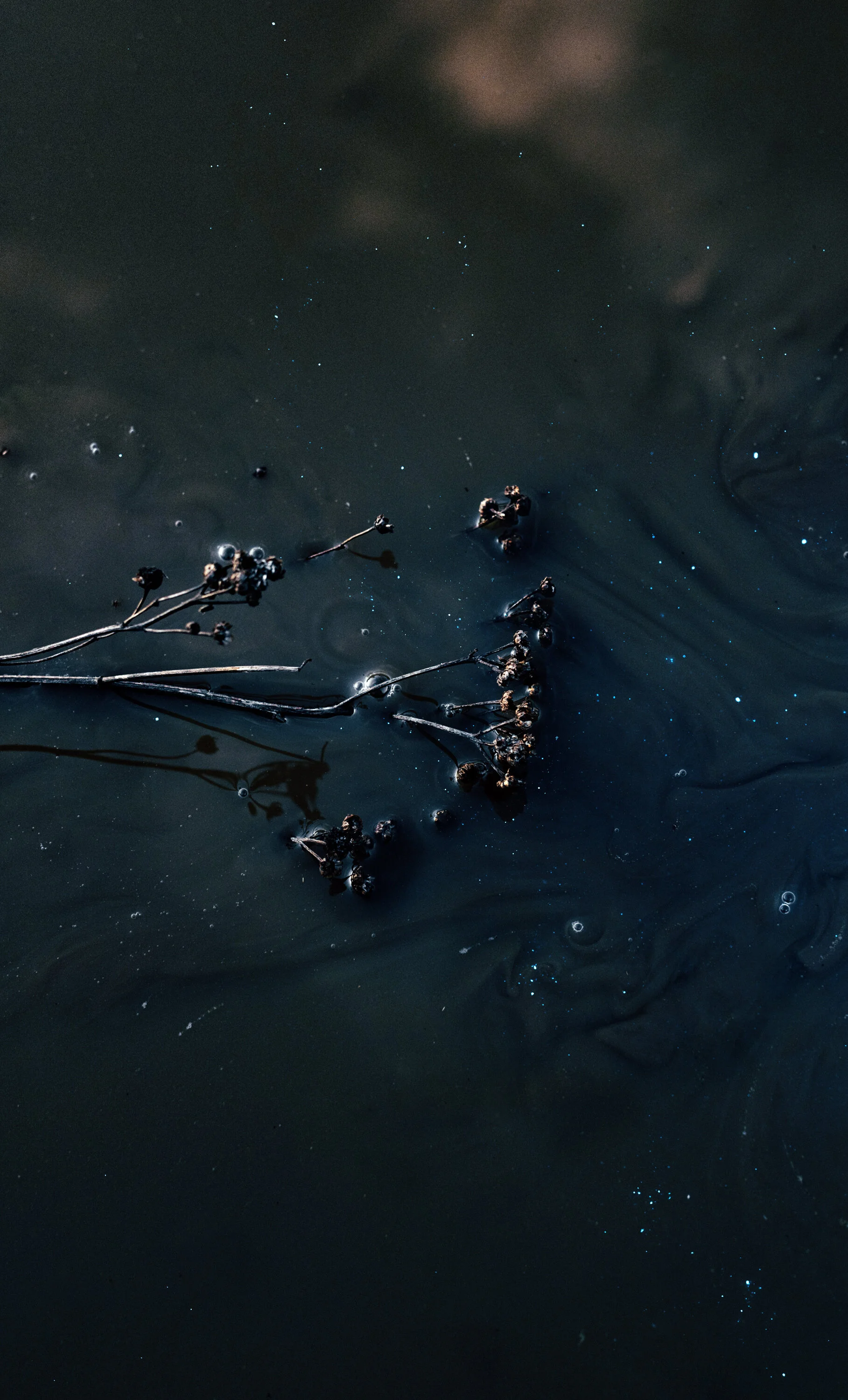 In the Diseased Light / Then I Slept