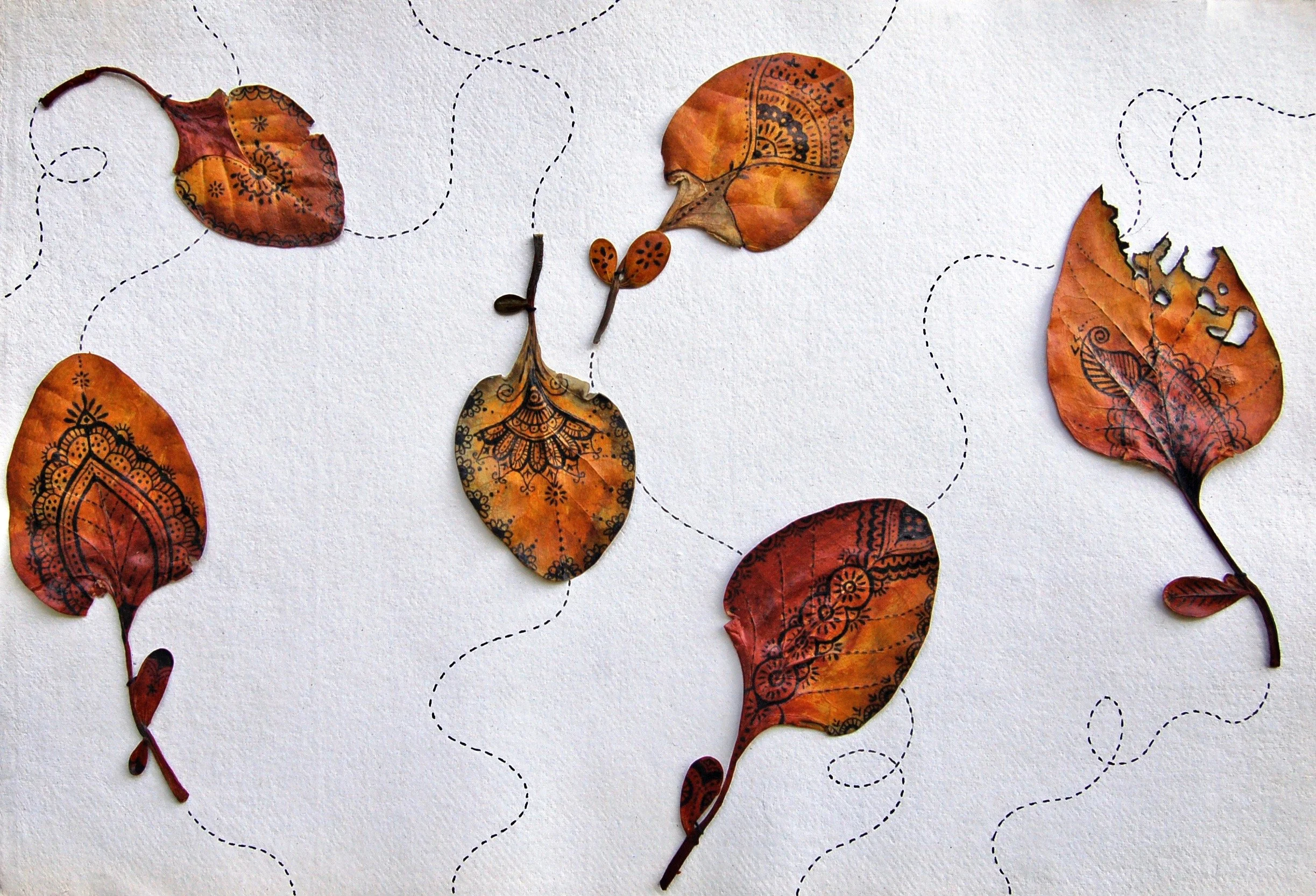 Issue XII Artists — Bracken