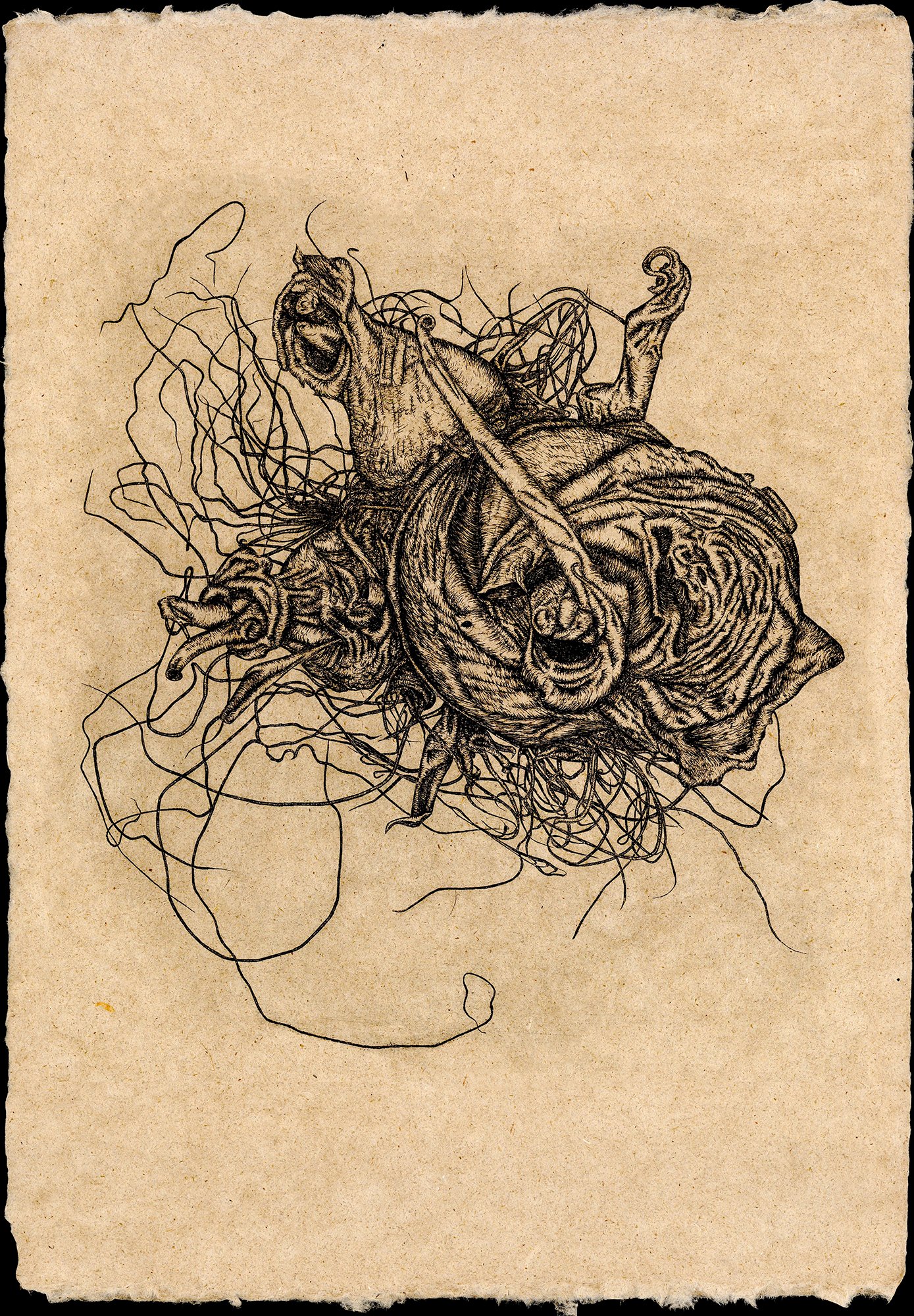 Elephant Ear Bulb, Intaglio on Handmade Oriental Bittersweet and Abaca, 14x20 inches, 2023 .jpeg