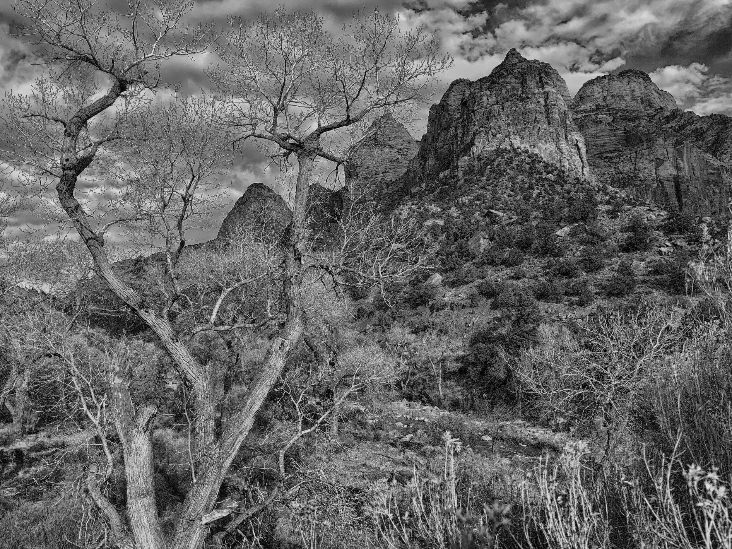 Issue XIII Artists — Bracken