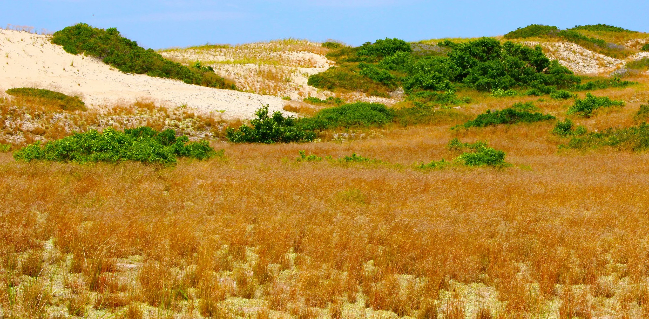 Issue XIV Artists — Bracken