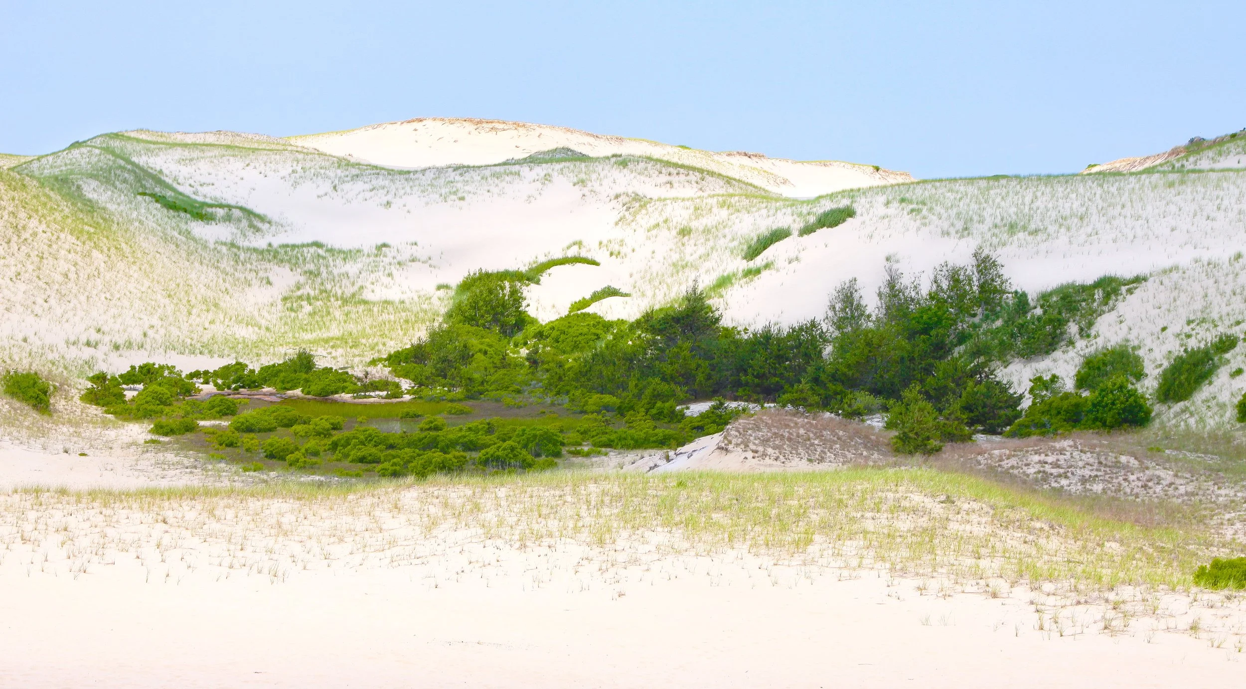 IMG_8763 copy(1).jpg