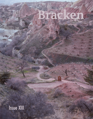 Issue XIII — Bracken