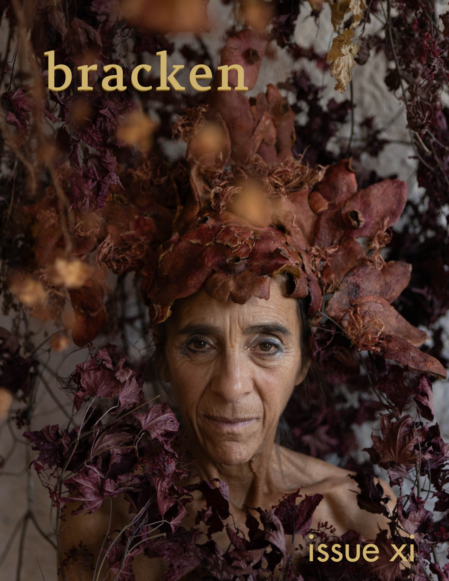 Issue XI — Bracken
