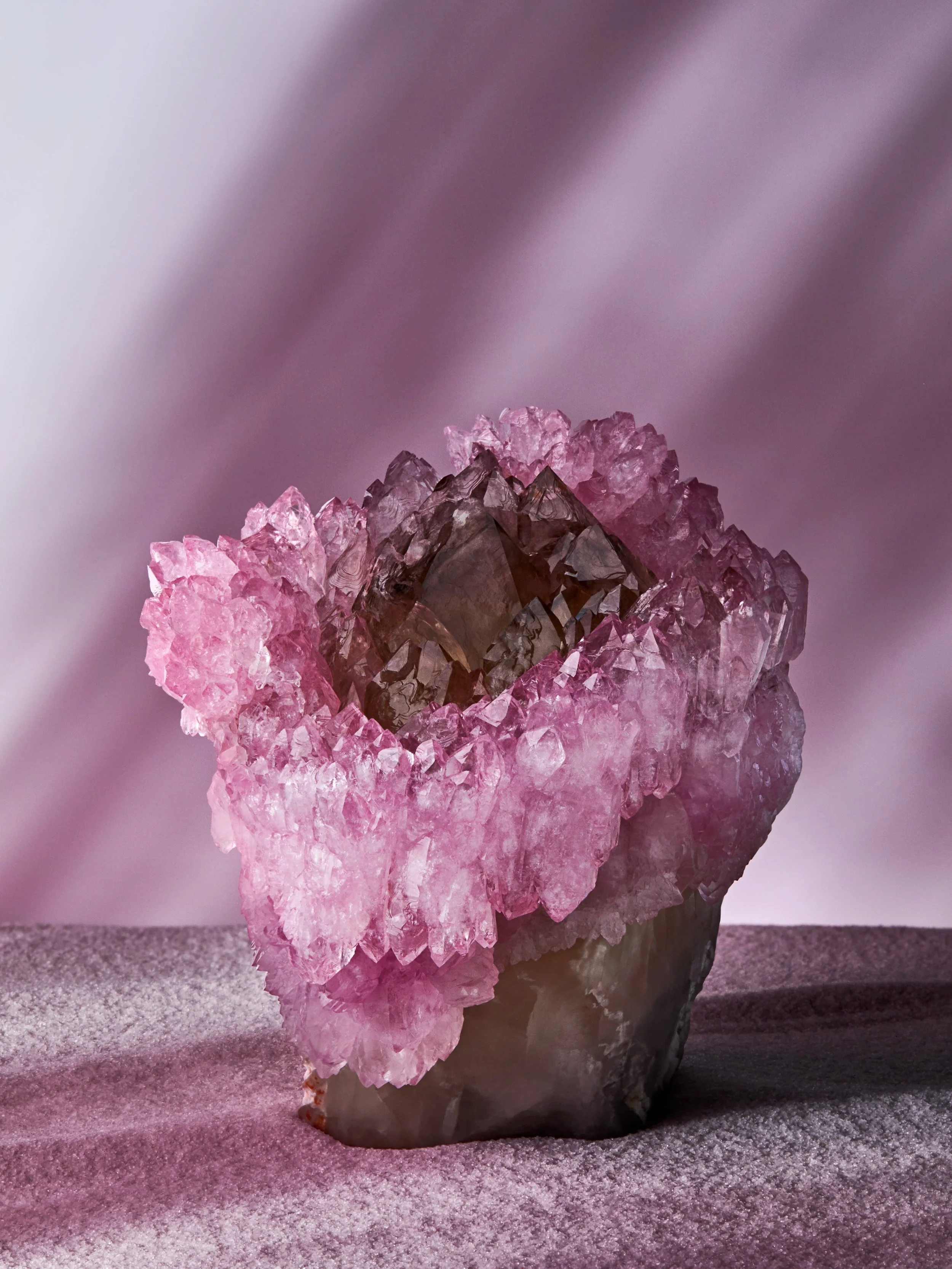 000101-0001012004_Quartz_Exhibition_Catalog_Rose.jpg