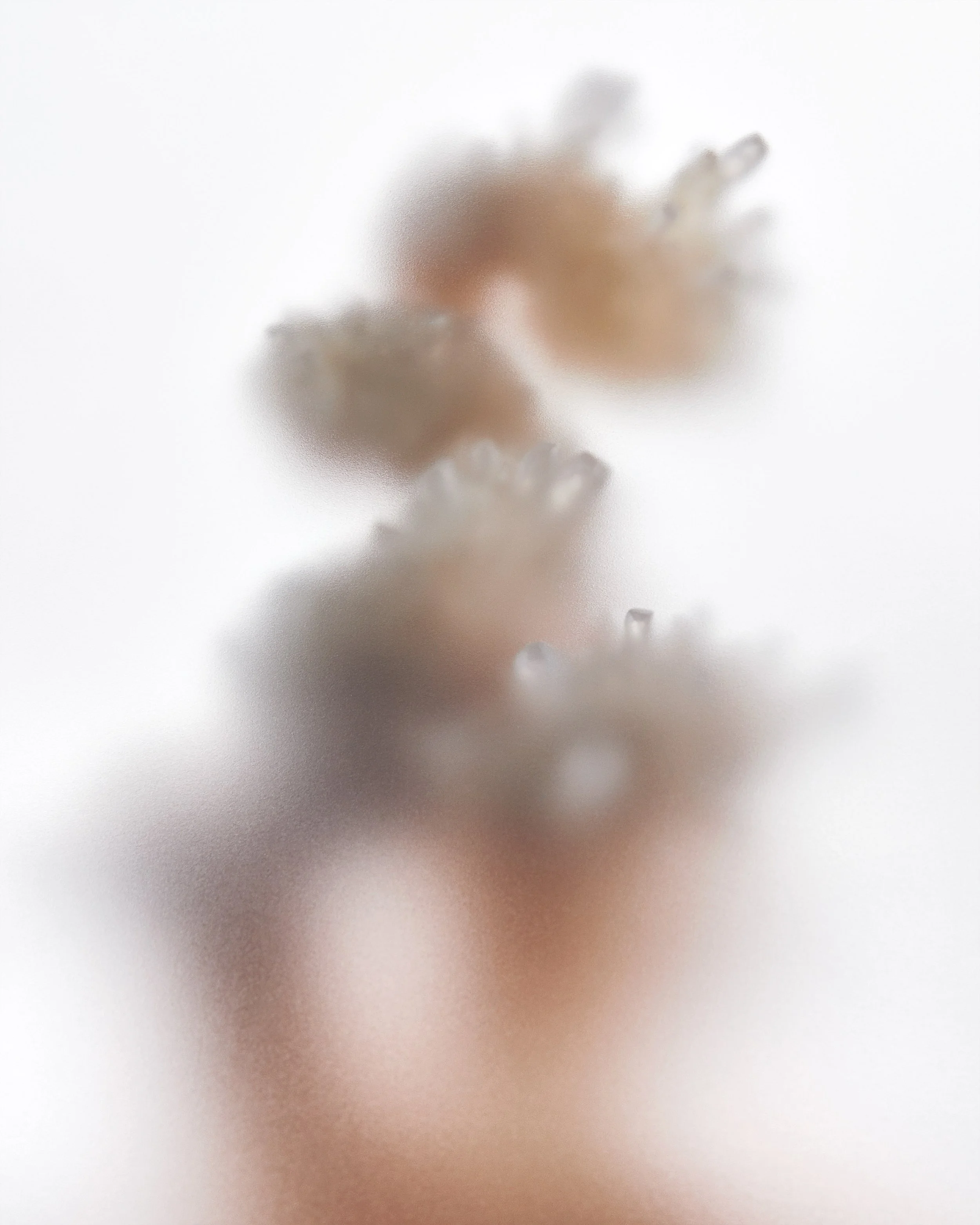 2206272206_Silhouette_Calcite_Hero_2.jpg