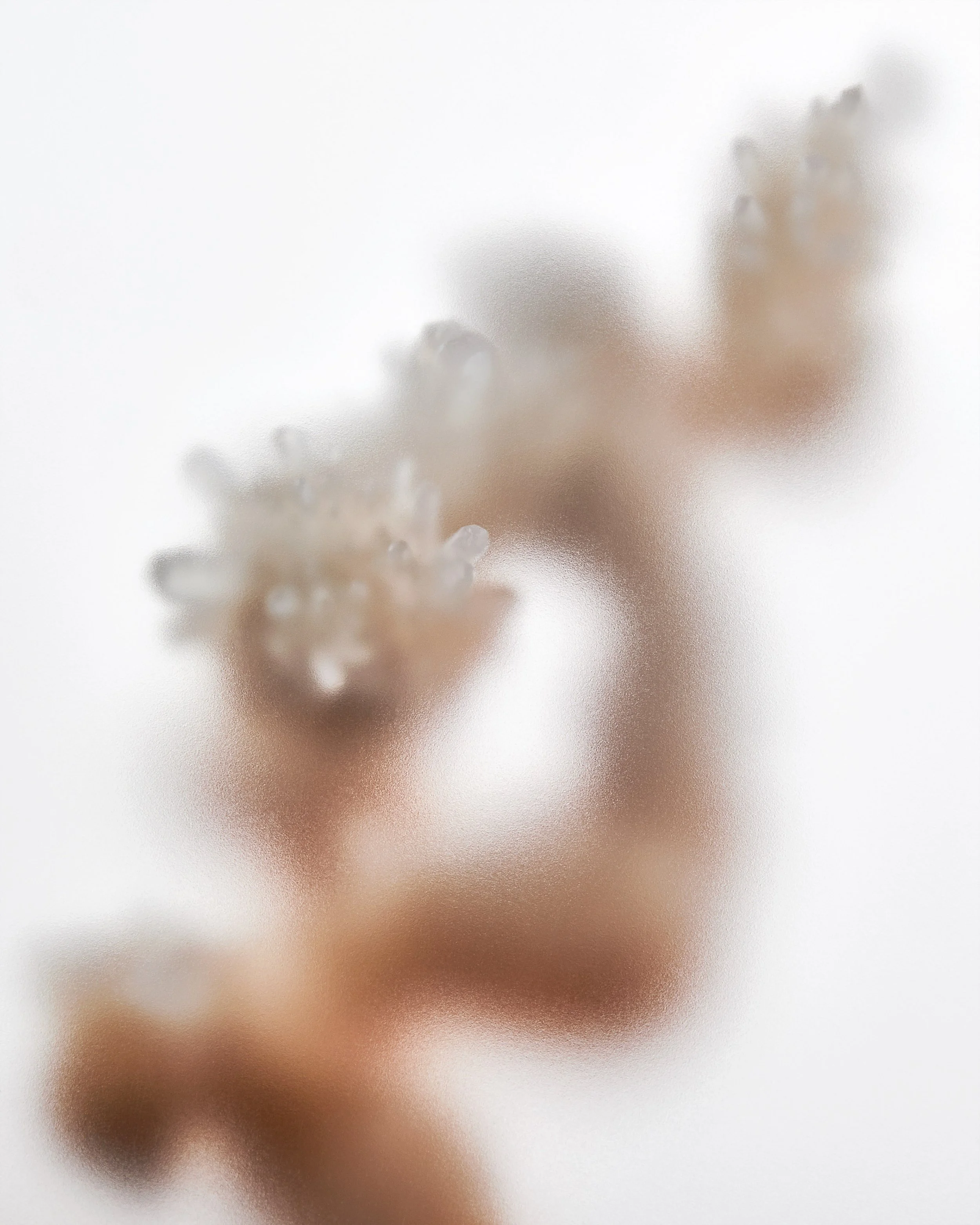 2206272206_Silhouette_Calcite_Hero.jpg