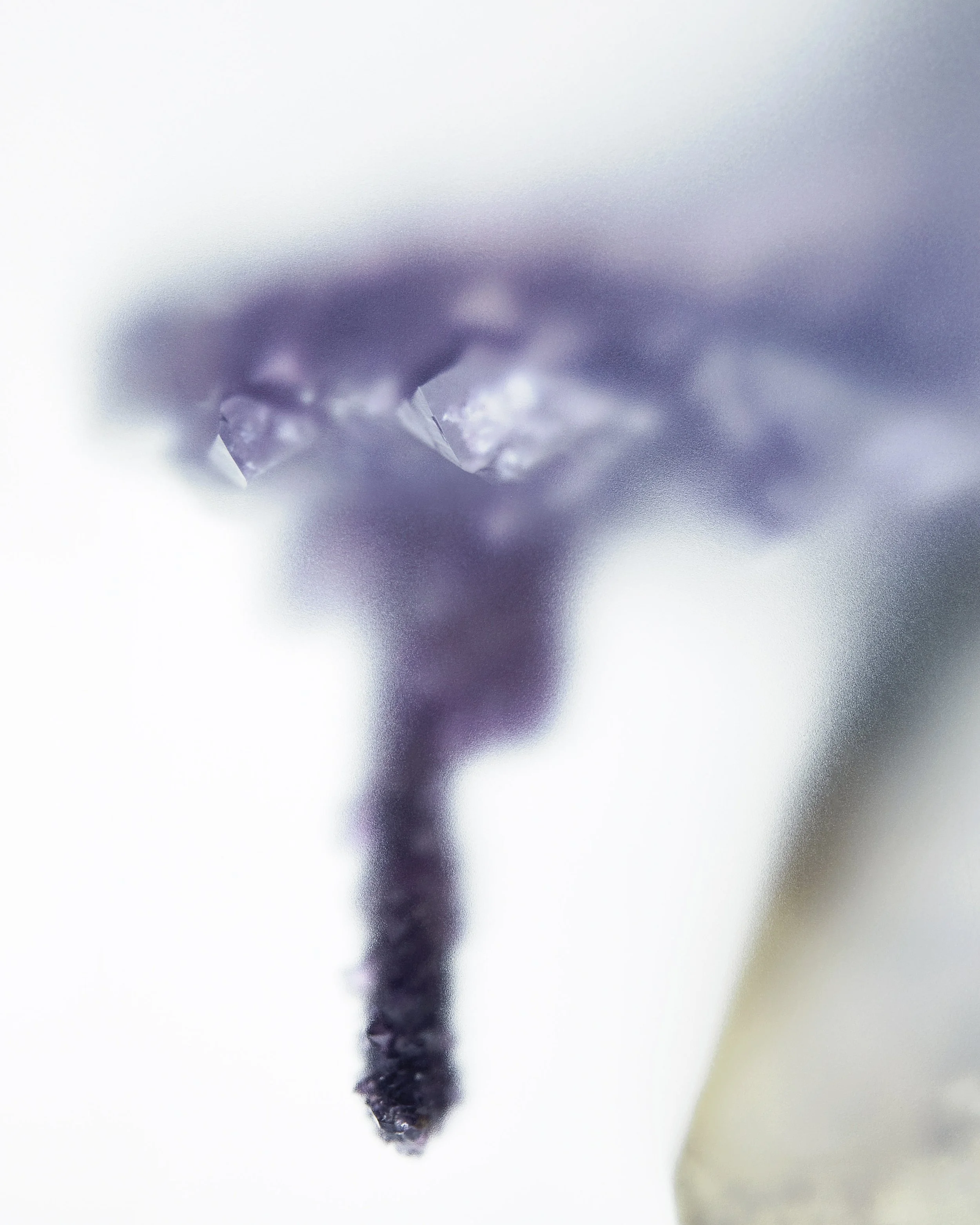 2207222206_Silhouette_Calcite+Amethyst_hero.jpg