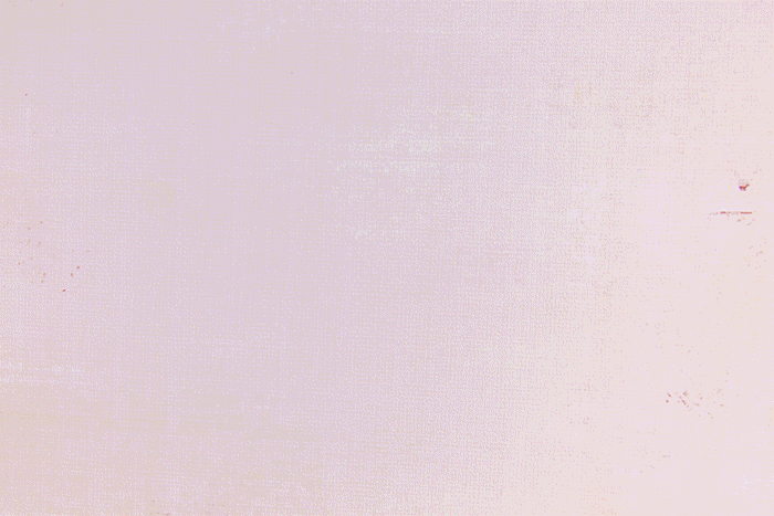 bouquet.gif