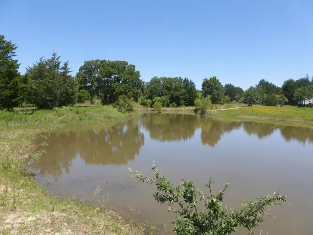 P1040583 (640x480).jpg