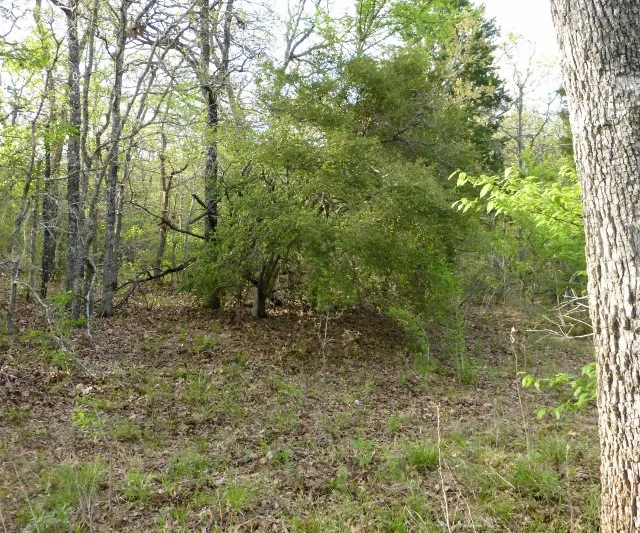 P1050795 (640x533).jpg