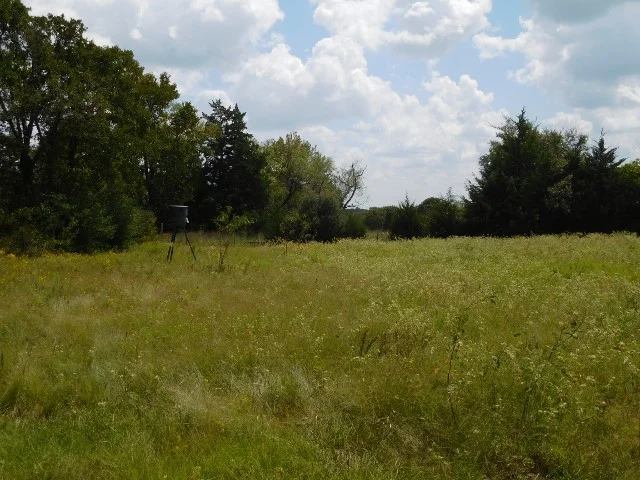 DSCN0350 (640x480).jpg
