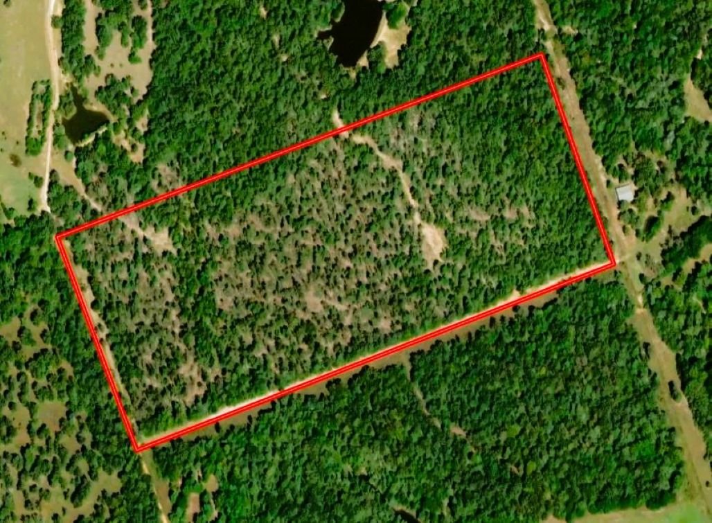 Aerial_close_2025.jpg