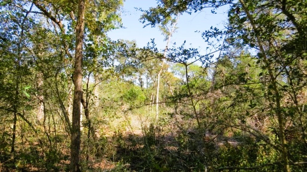 IMG_5021 (640x360).jpg