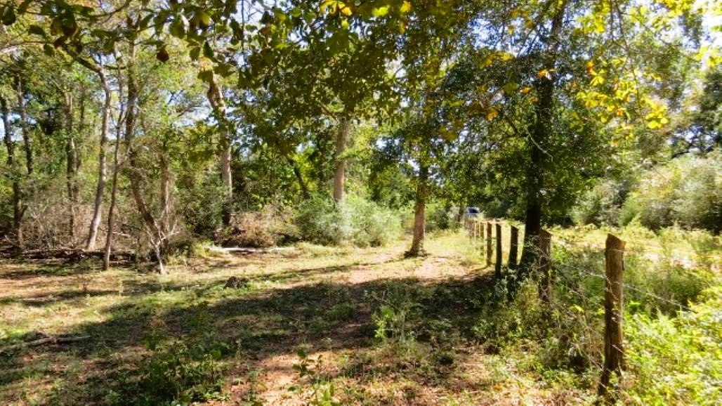 IMG_5026 (640x360).jpg