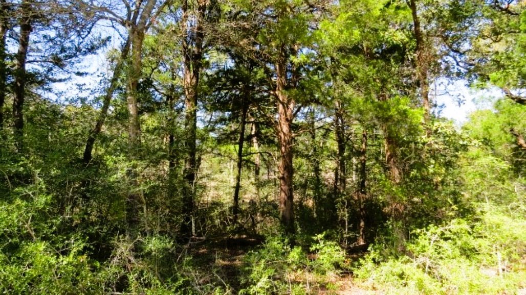 IMG_5031 (640x360).jpg