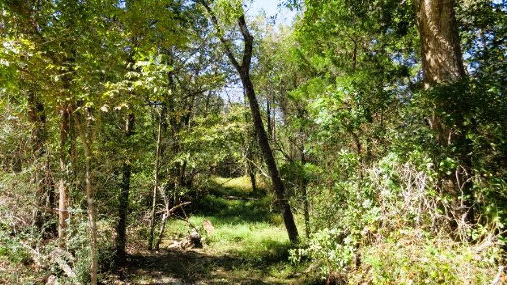 IMG_5037 (640x360).jpg