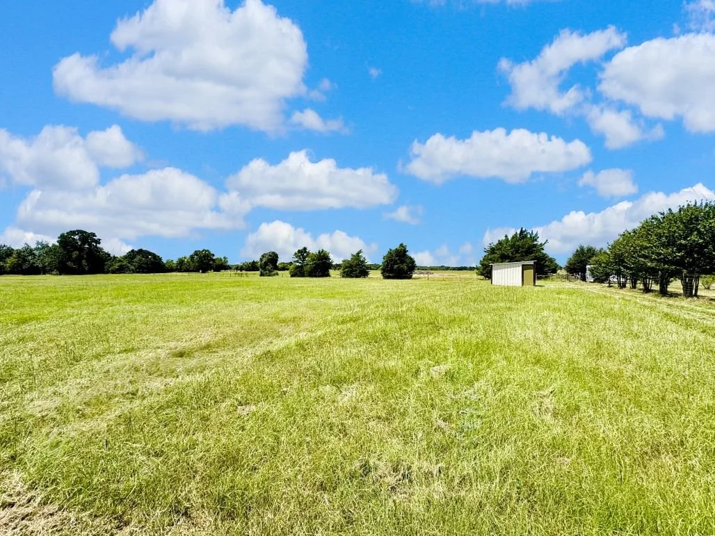 Back pasture .jpg