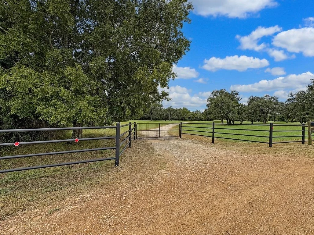 Front pasture 5.jpg