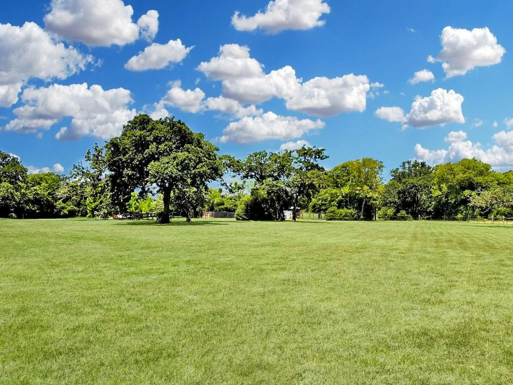 Front pasture3.jpg