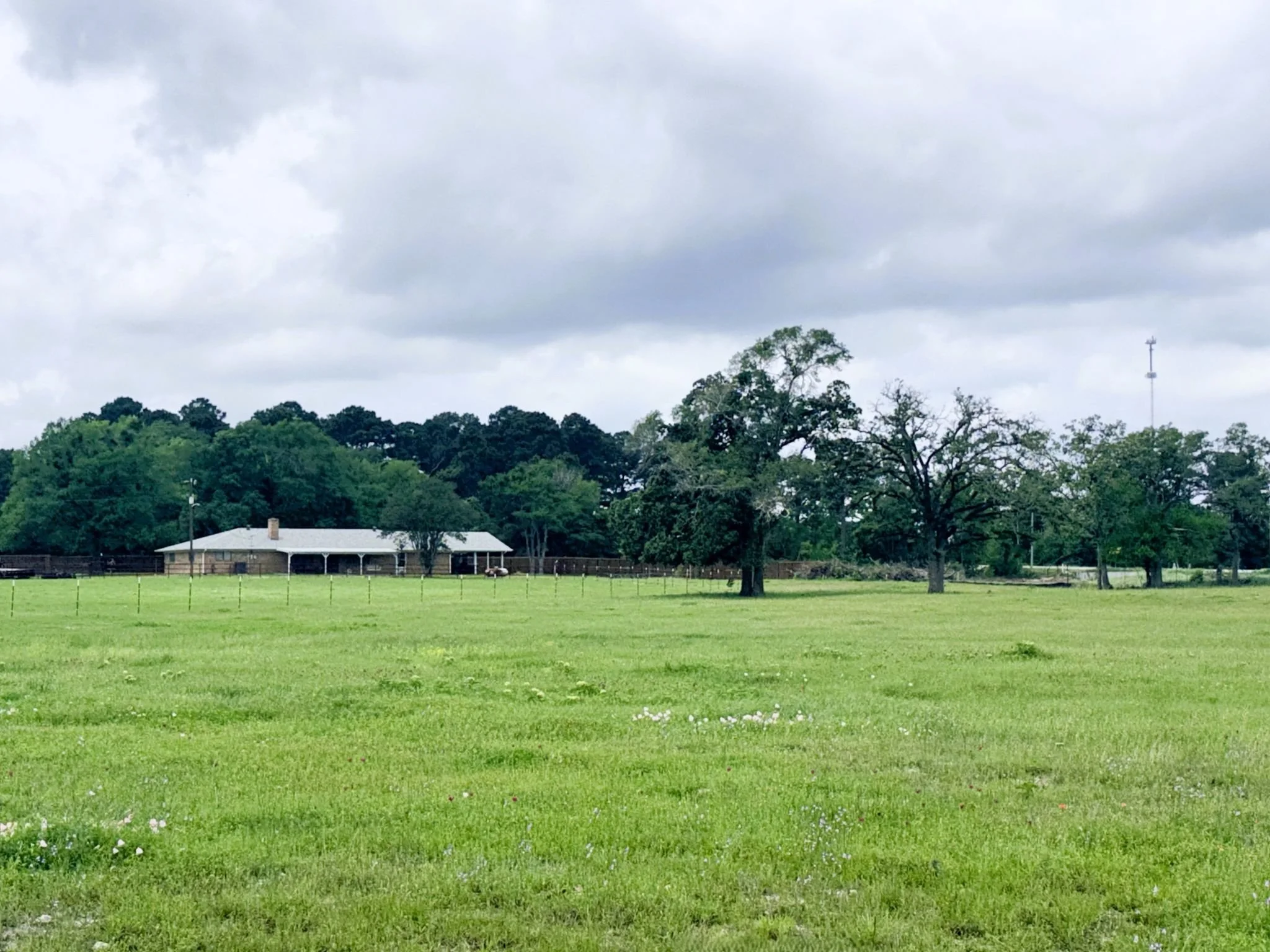 Main house - back .jpg