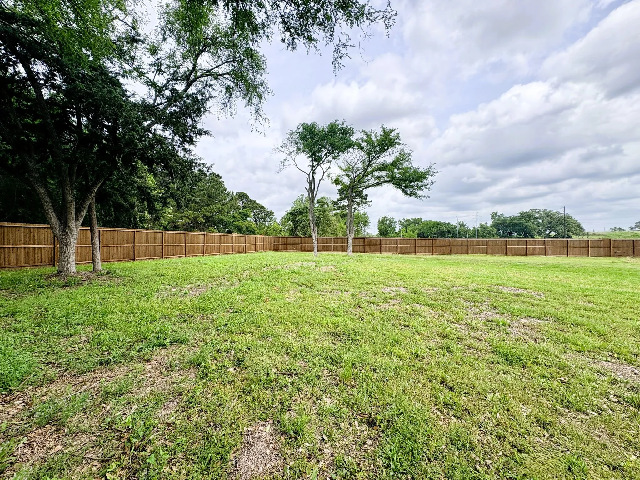 Main_front side yard.jpg