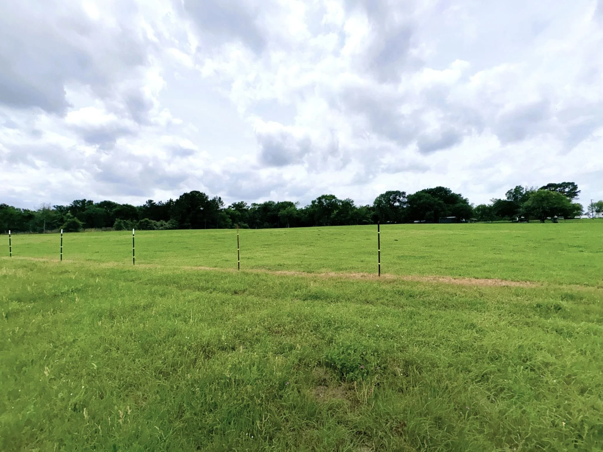 Pasture_temp cross fencing.jpg